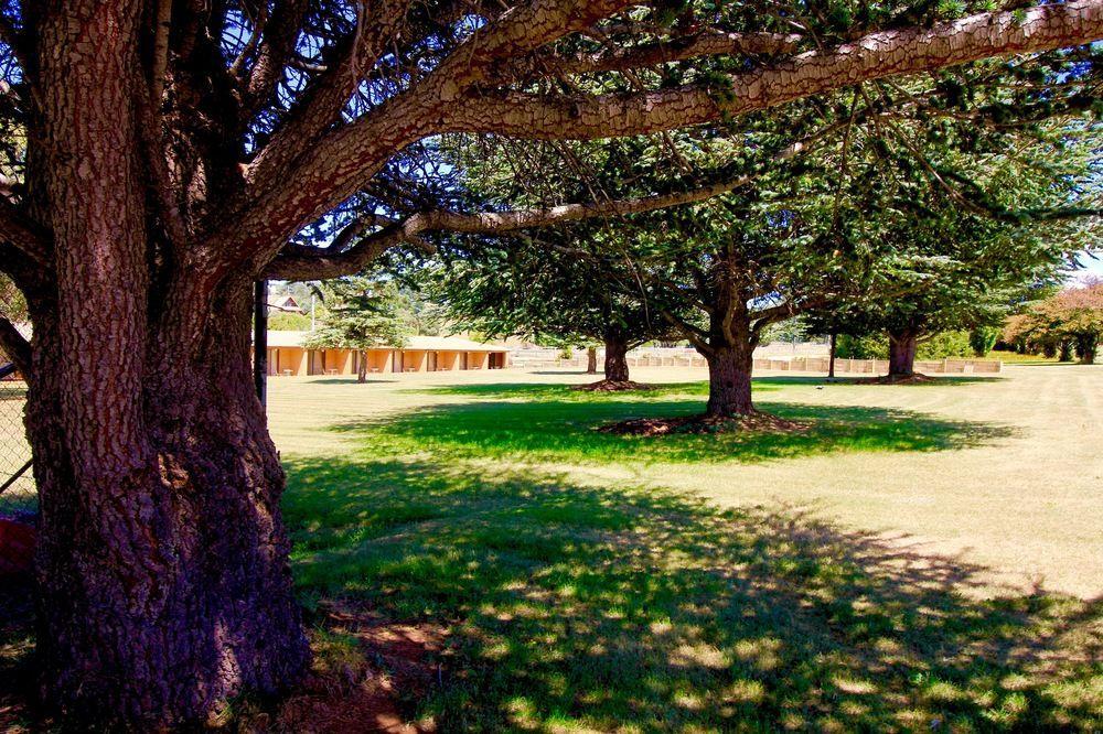 Snowy Mountains Resort And Function Centre Adaminaby Exterior photo